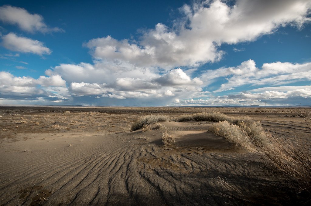 The Impact of Fossil Discoveries on Science (image credits: flickr)