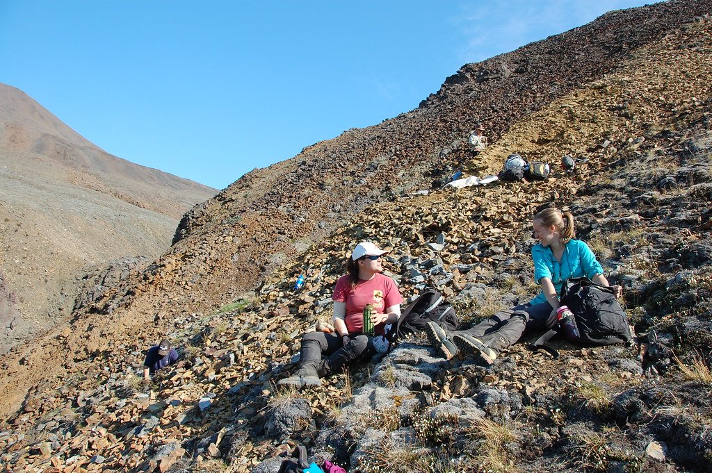 The Future of Fossil Quarries in Utah (image credits: flickr)