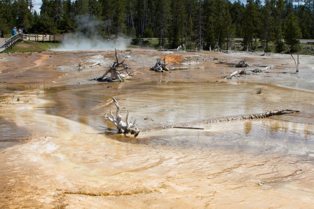 Ancient Origins: Life's First Extremophiles