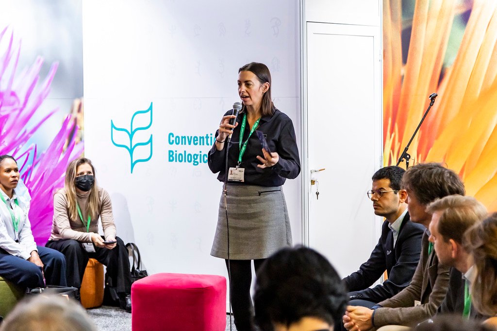 The Carbon Credits Controversy - Hope or Hype? (image credits: flickr)