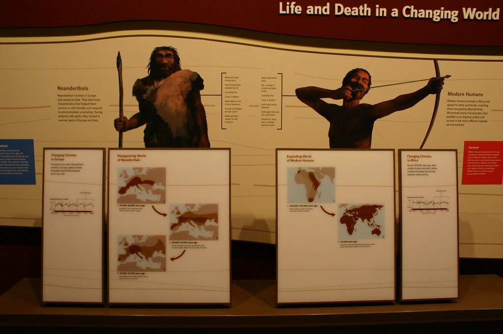 Implications for Human Understanding (image credits: flickr)