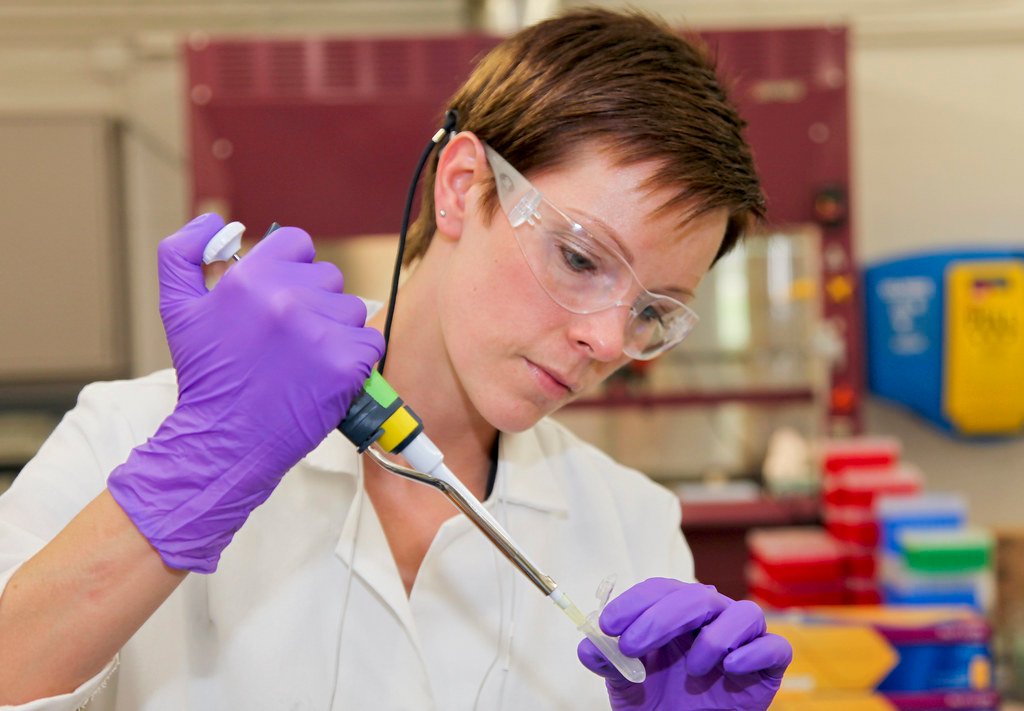 The Molecular Switches That Control Development (image credits: flickr)