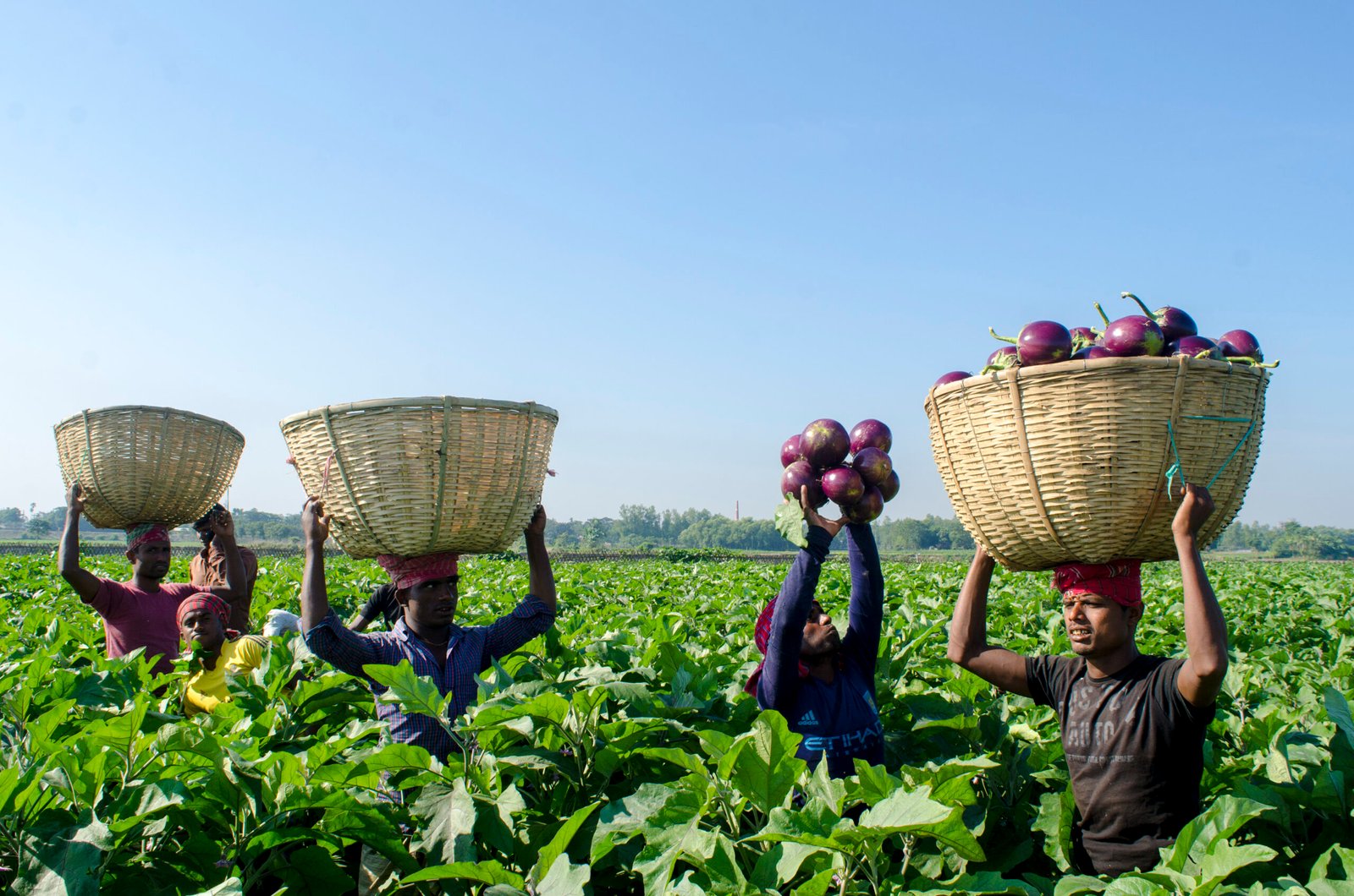 The Coordination Challenge: Getting Everyone on the Same Page (image credits: wikimedia)