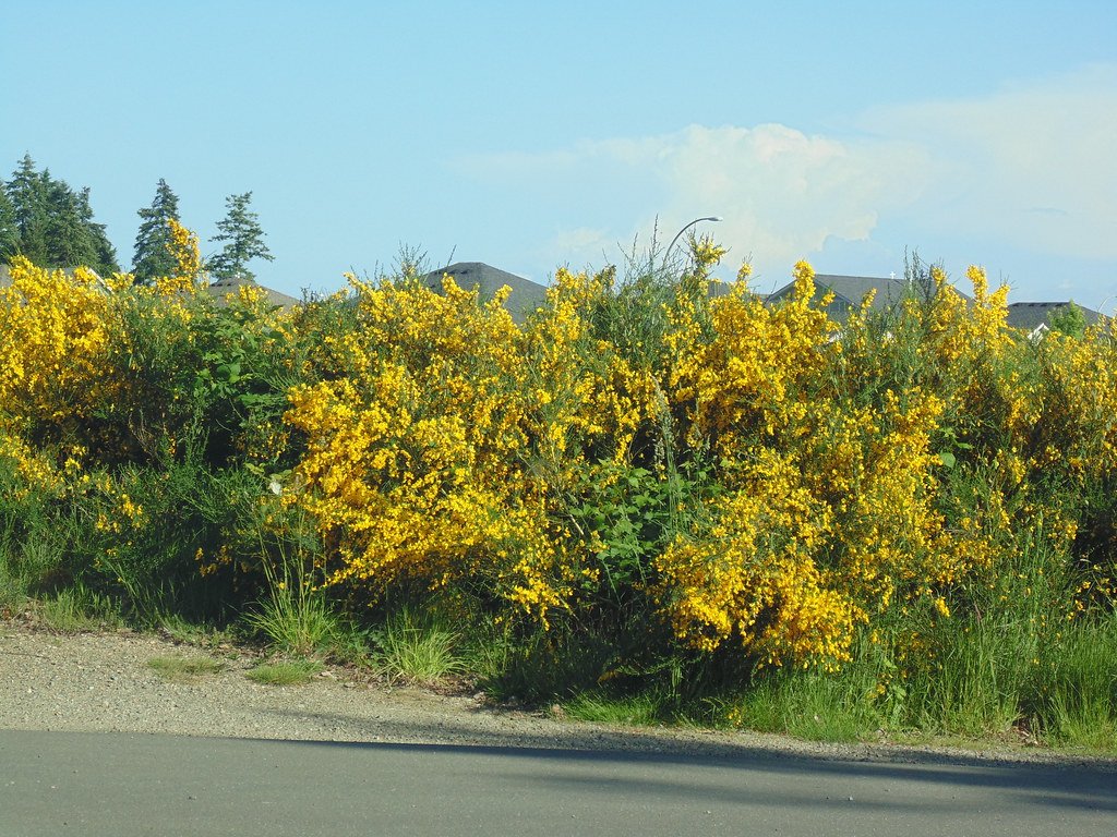 Climate Change: The Game Changer (image credits: flickr)