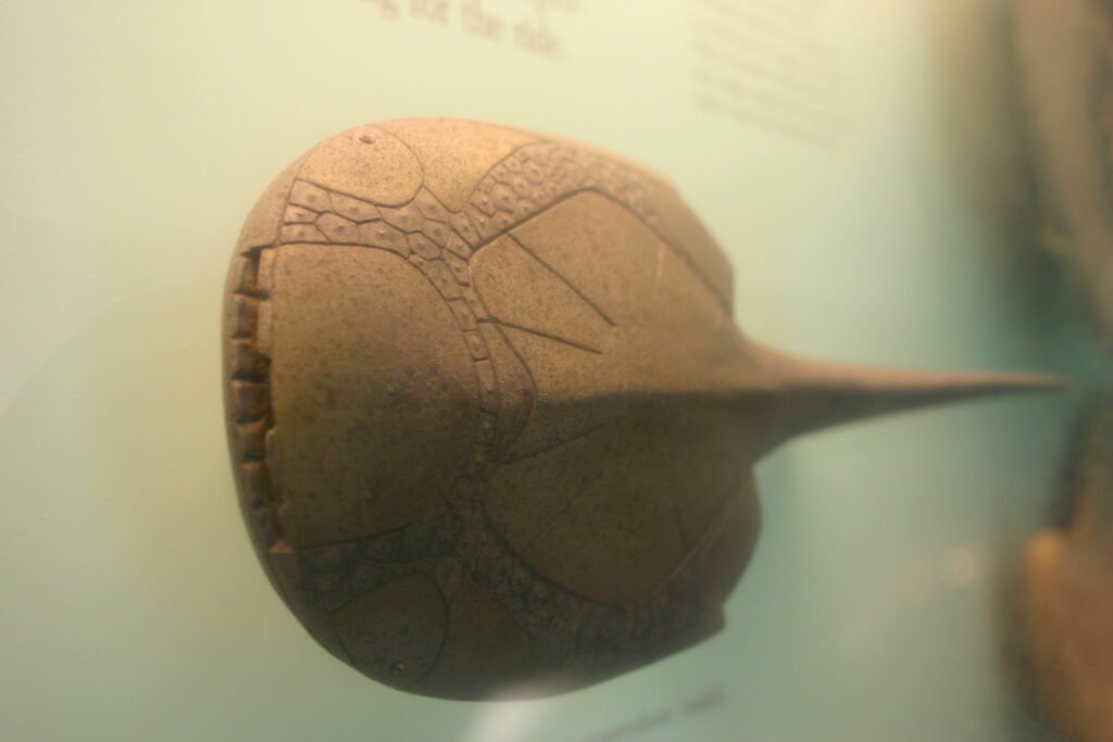 Jawless Fish: The Ancient Outliers