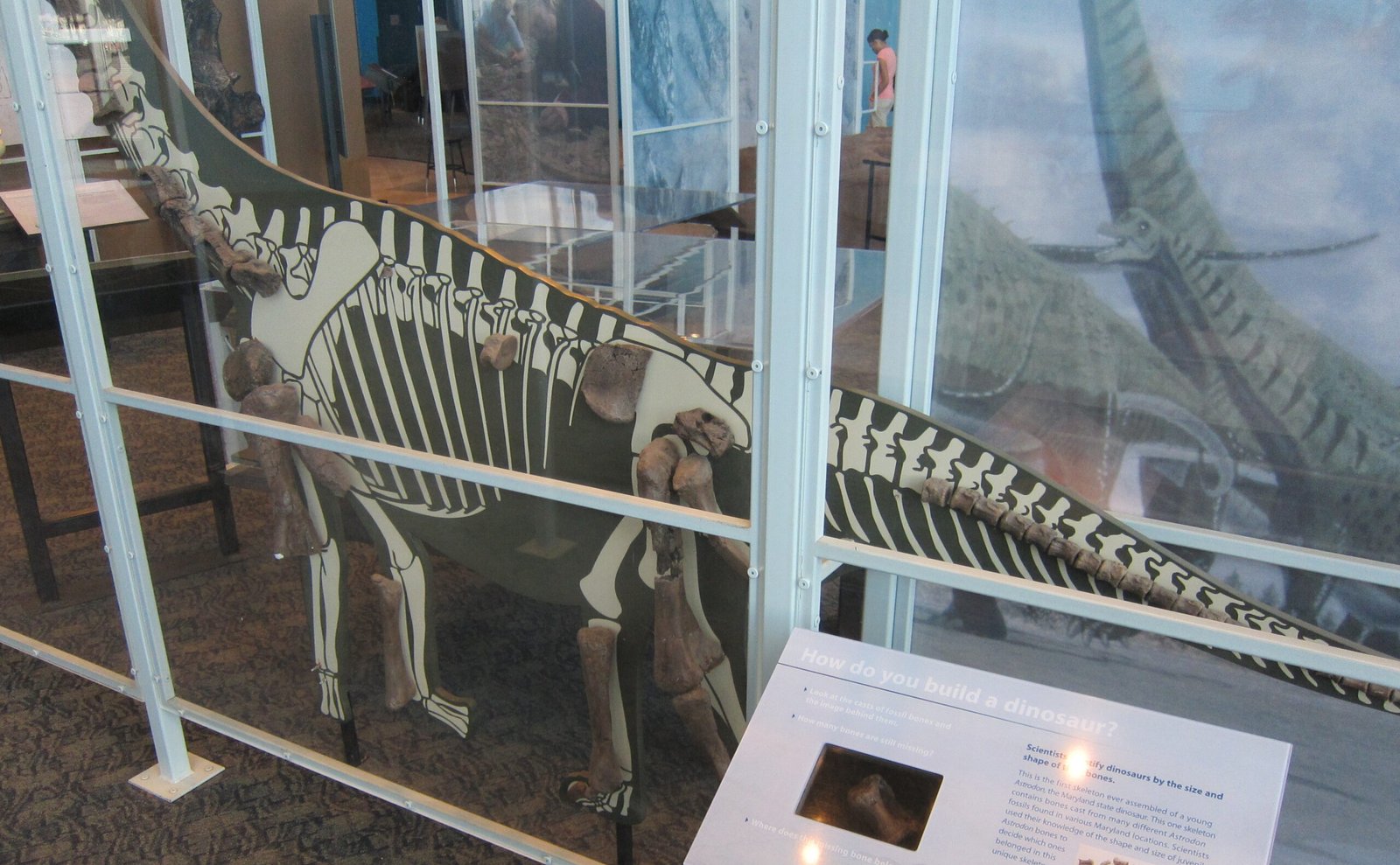 Maryland's Underground Surprise (image credits: wikimedia)