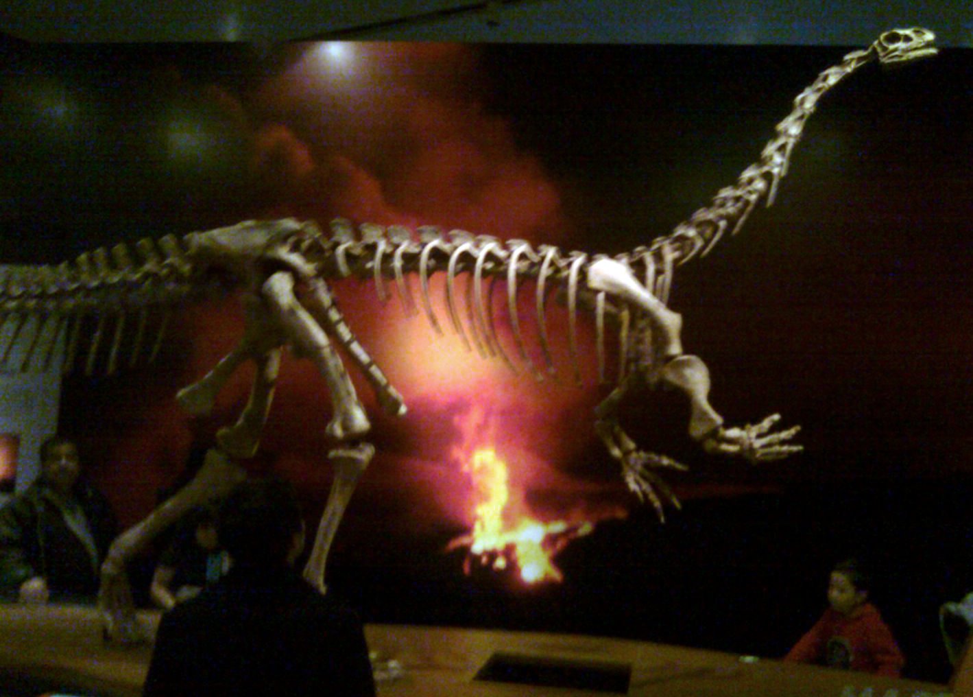 Connecticut's Three-Act Discovery Drama (image credits: wikimedia)