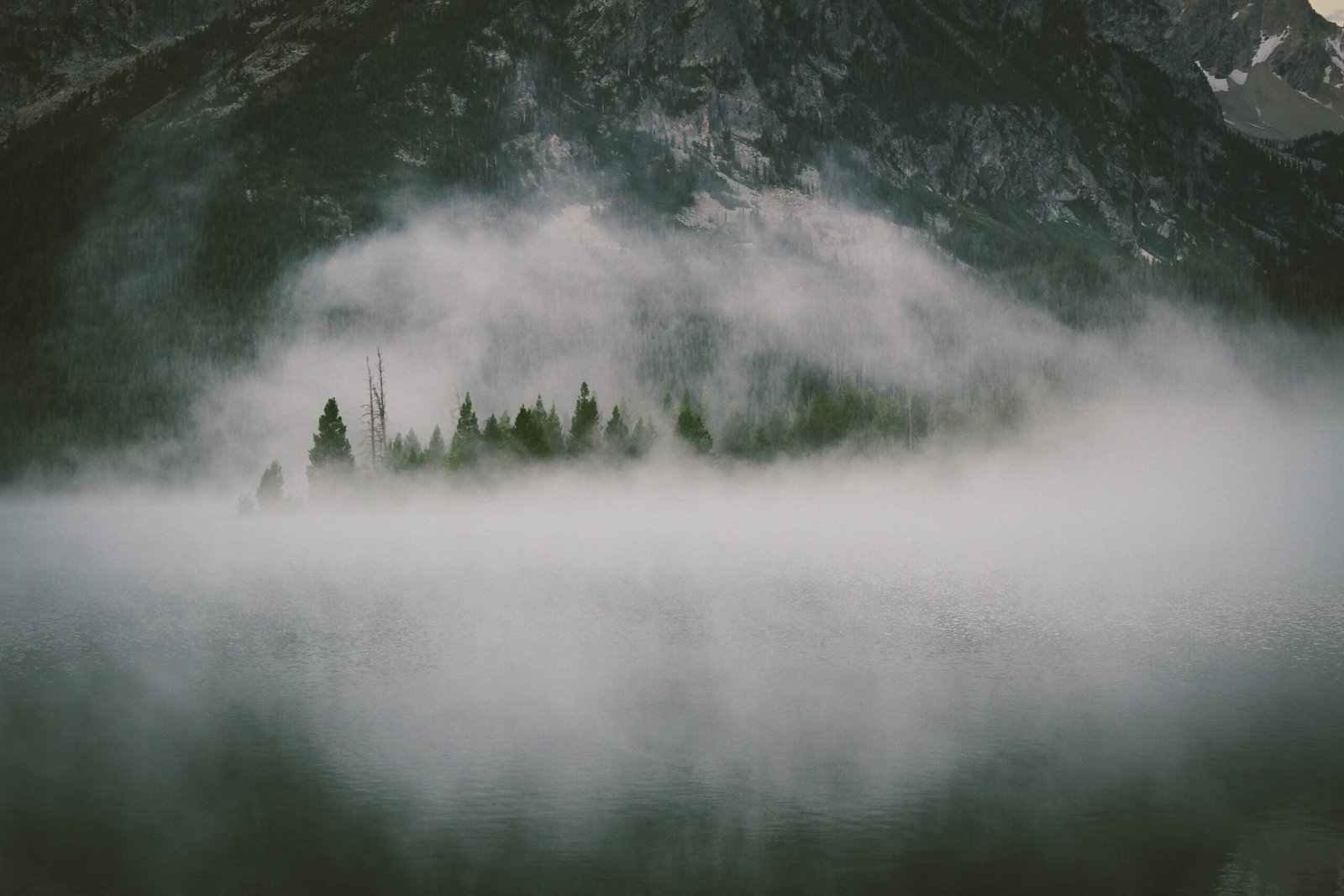 The Art of Fog Drip (image credits: wikimedia)