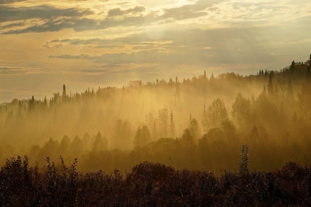 A Reminder of Nature’s Ingenuity (image credits: flickr)