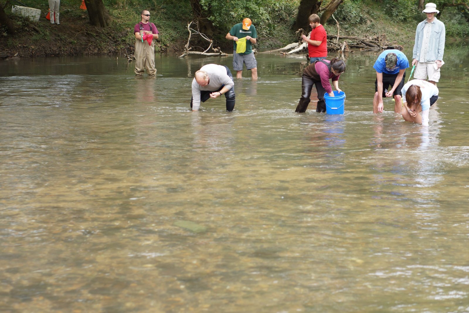 Building Inclusive Conservation Communities (image credits: wikimedia)