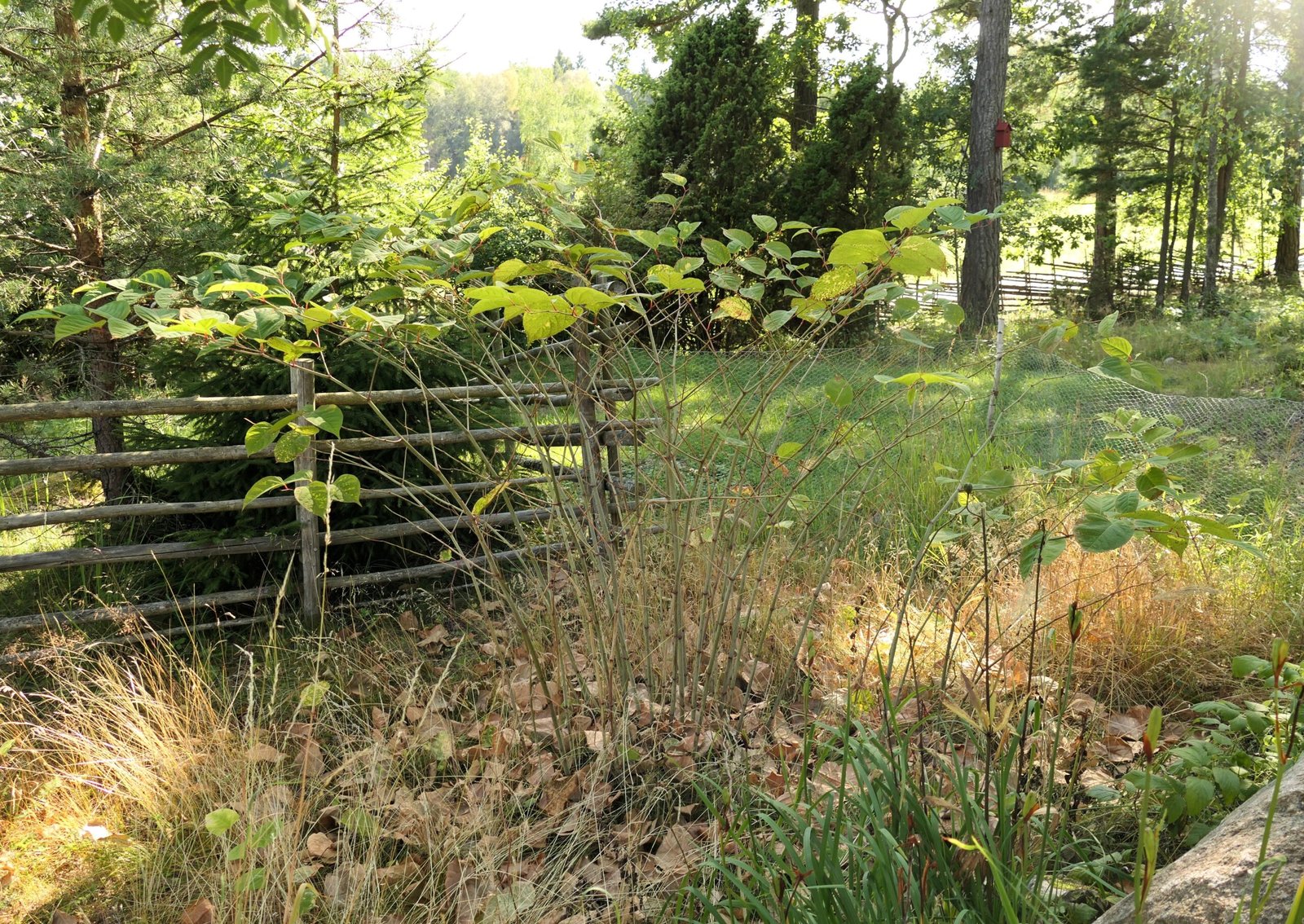 Threats to Local Ecosystems and Biodiversity (image credits: wikimedia)