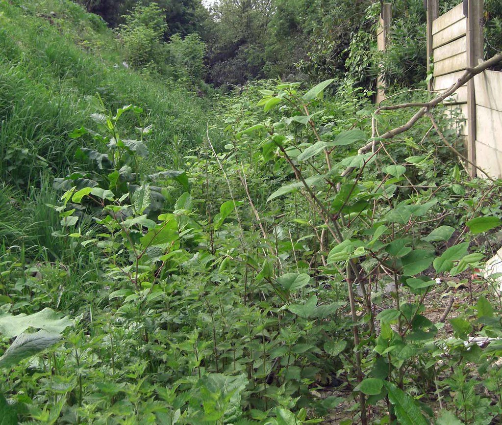 Looking to the Future: Staying Vigilant and Informed (image credits: flickr)