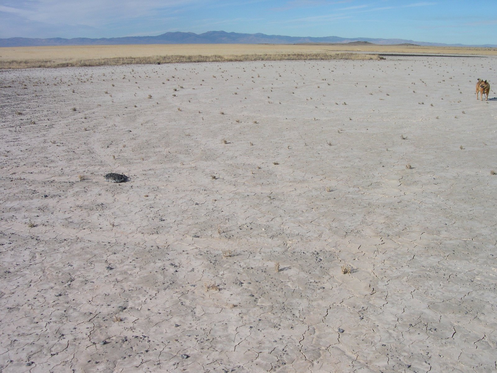 The Disappearance of Ancient Waters (image credits: wikimedia)