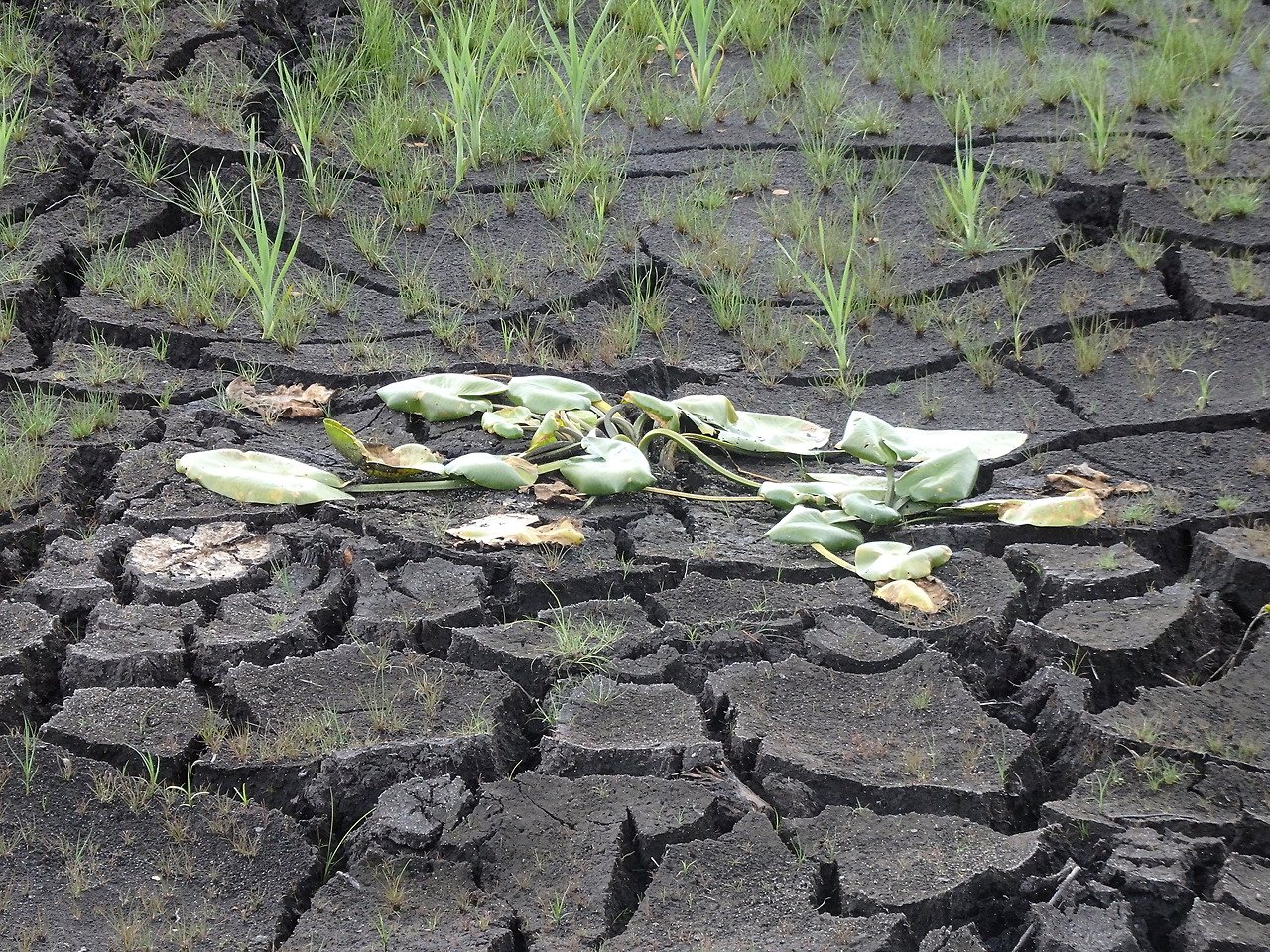 Climate Change: Lessons from the Ghost Lakes (image credits: wikimedia)
