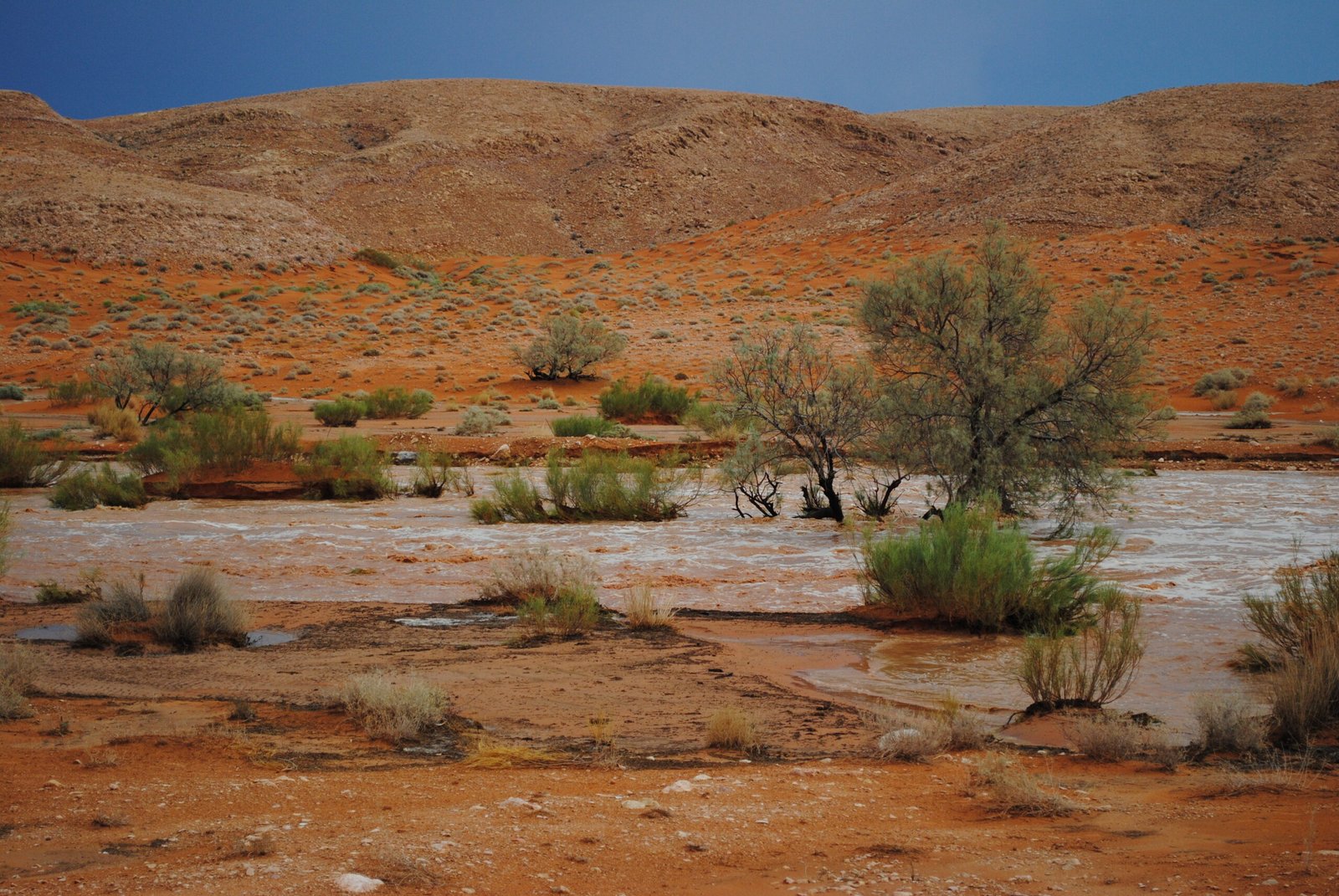 Reawakening Waters: When Lakes Return (image credits: wikimedia)