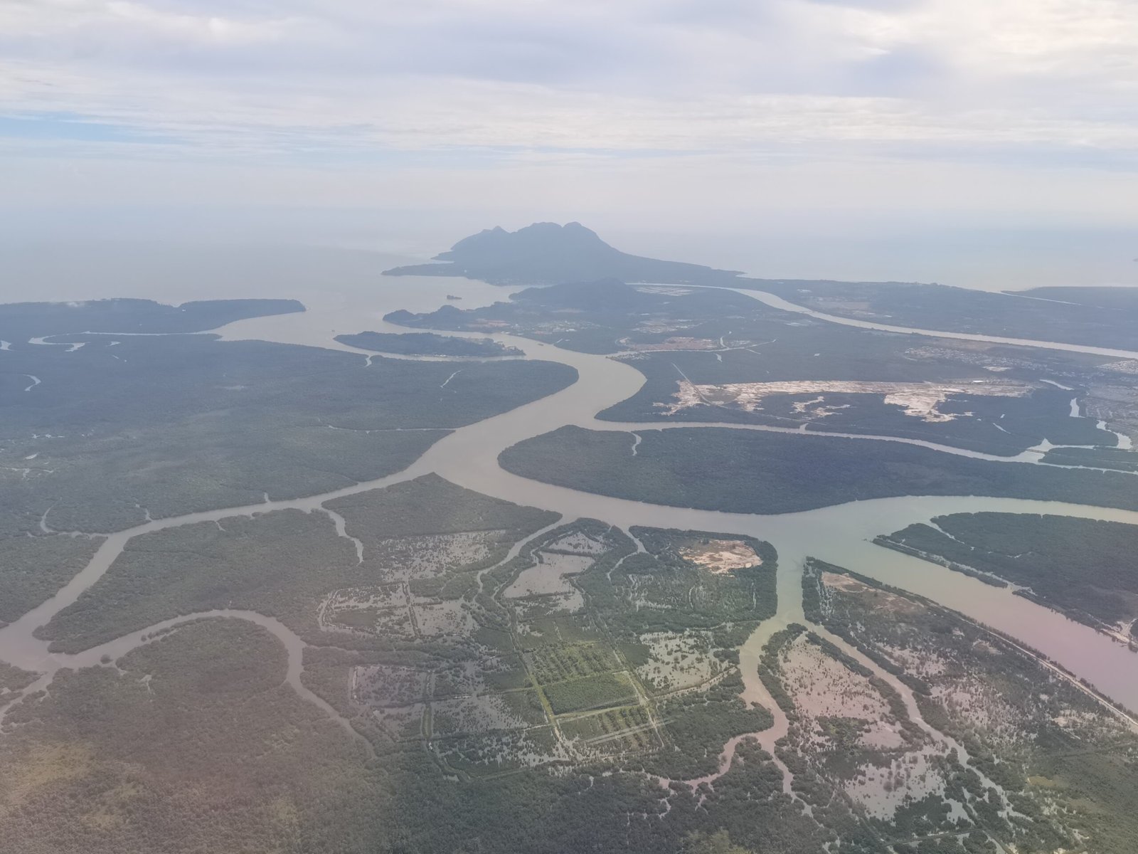 Methane Makers in the Mud (image credits: wikimedia)