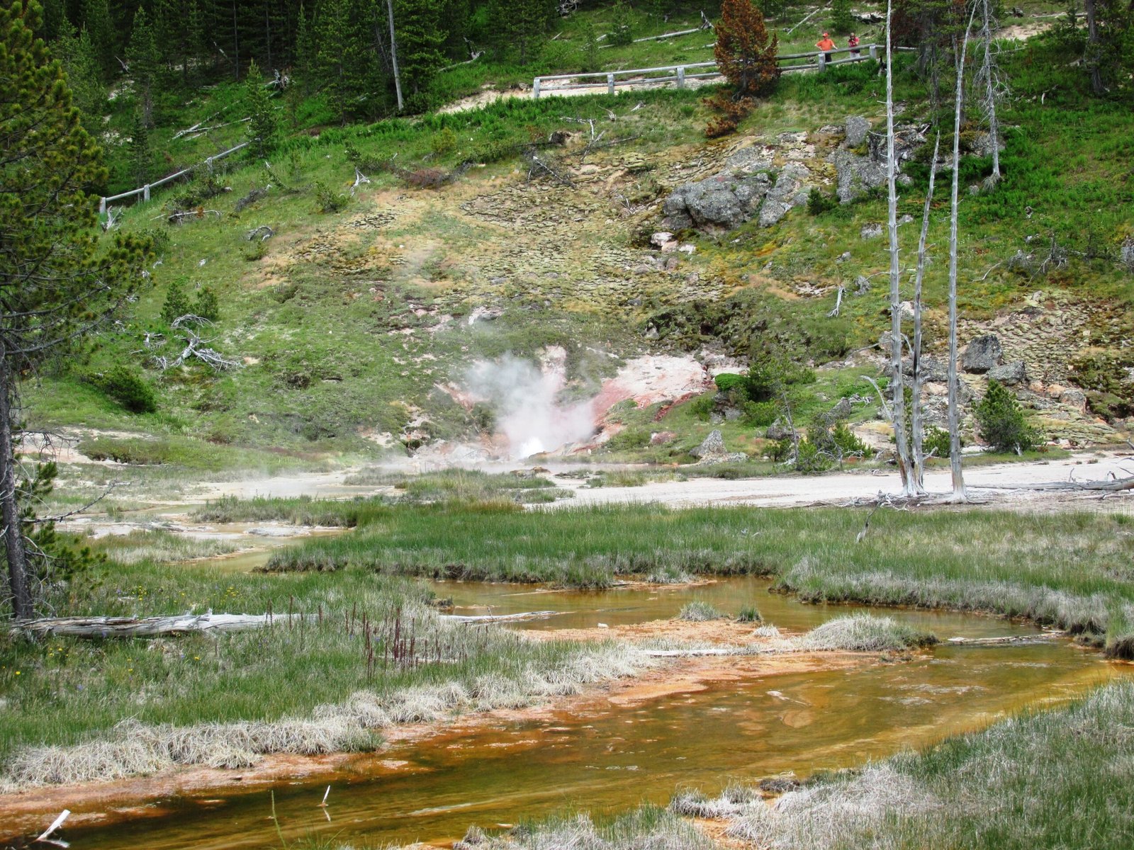 Iron Cycling: The Hidden Powerhouse (image credits: wikimedia)