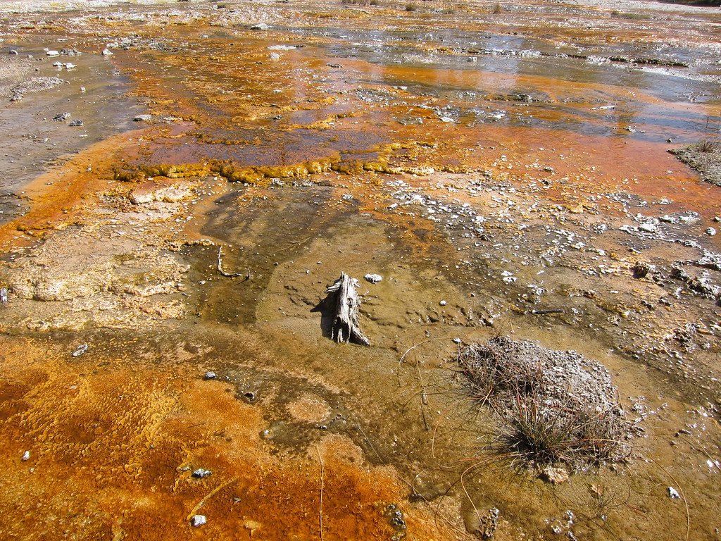 The Sulfur-Breathing Dragons (image credits: flickr)