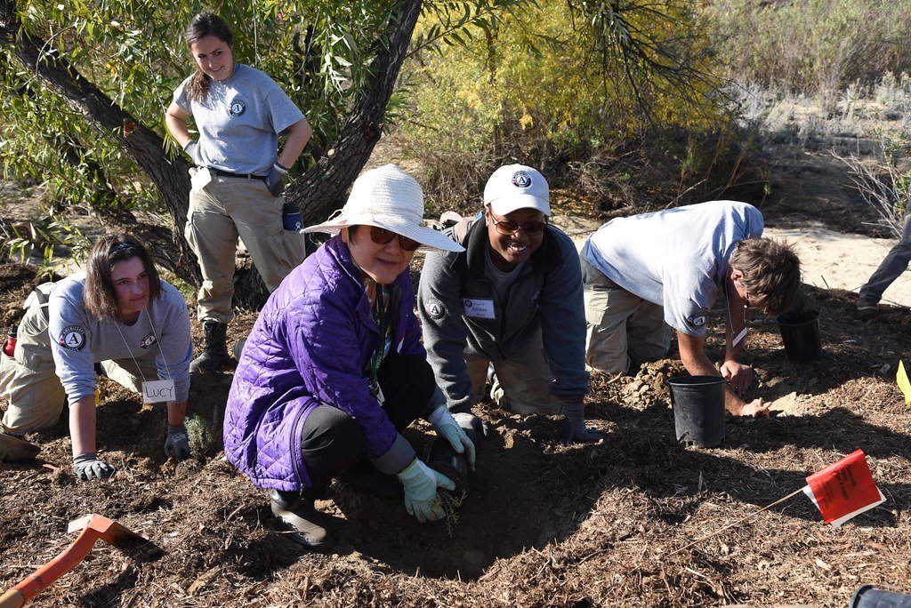 Biodiversity Bounces Back (image credits: flickr)