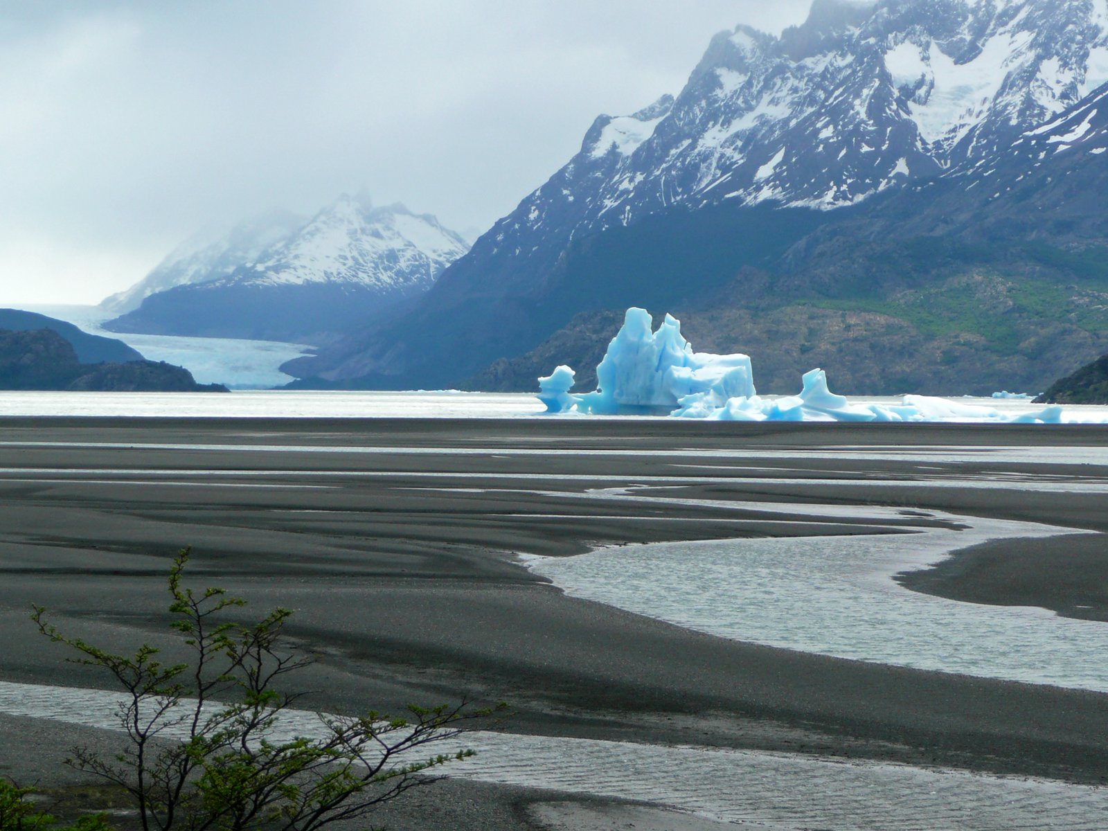 Life in Eternal Darkness (image credits: wikimedia)