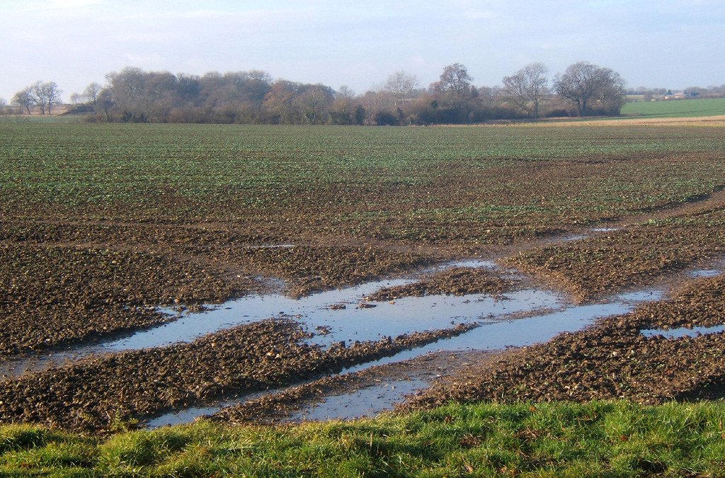 Agriculture in the Crosshairs: The Struggle to Keep Fields Alive (image credits: flickr)