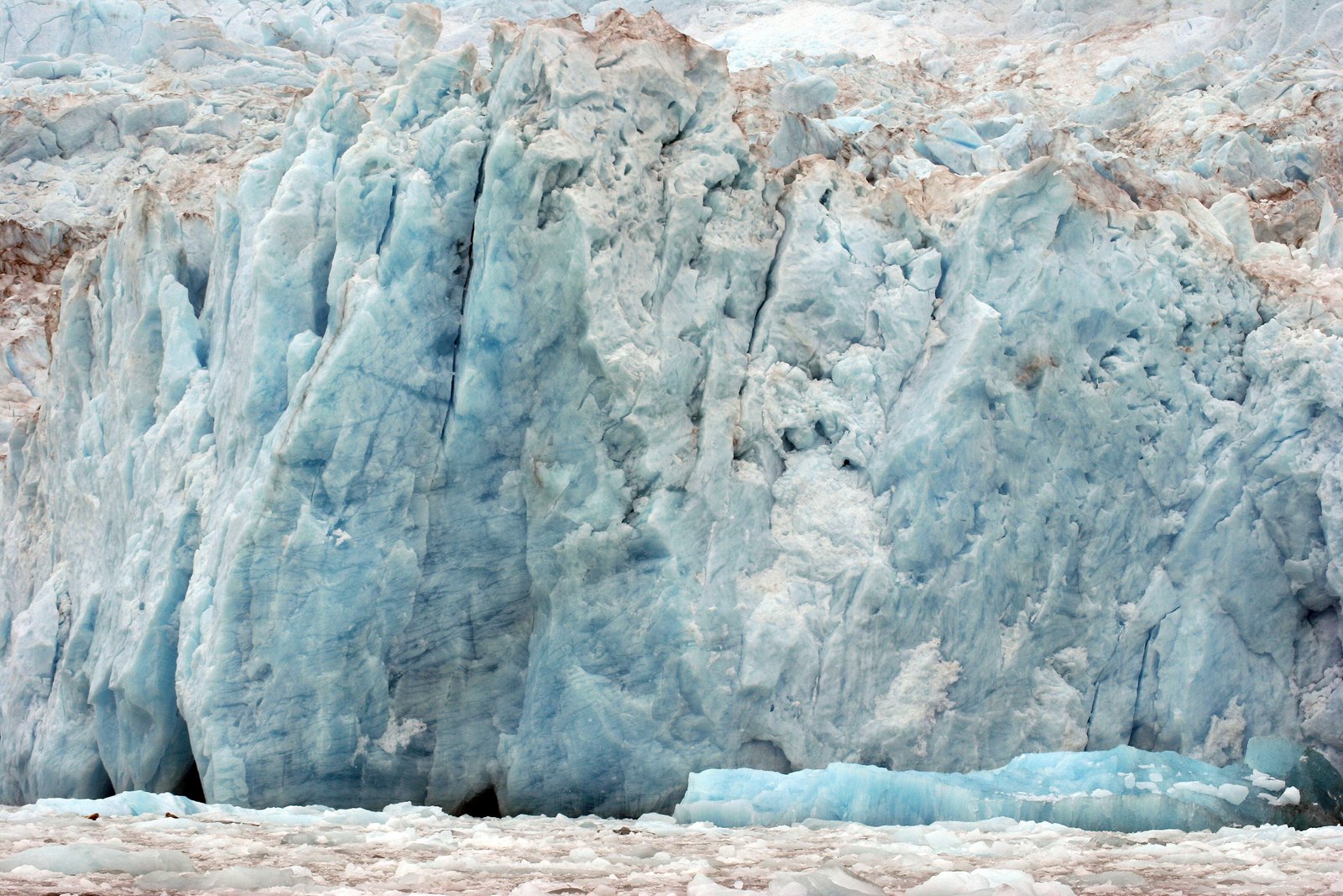 Wildlife at Risk: The Hidden Victims of Changing Water Flows (image credits: wikimedia)