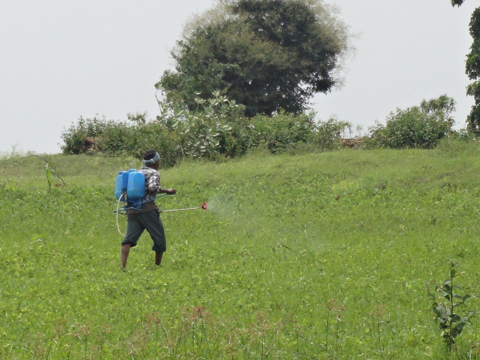Desperate Defenses: Chemical Warfare (image credits: flickr)