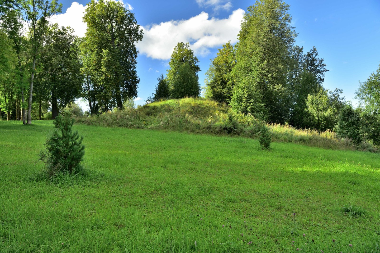 Modern Rediscovery (image credits: wikimedia)