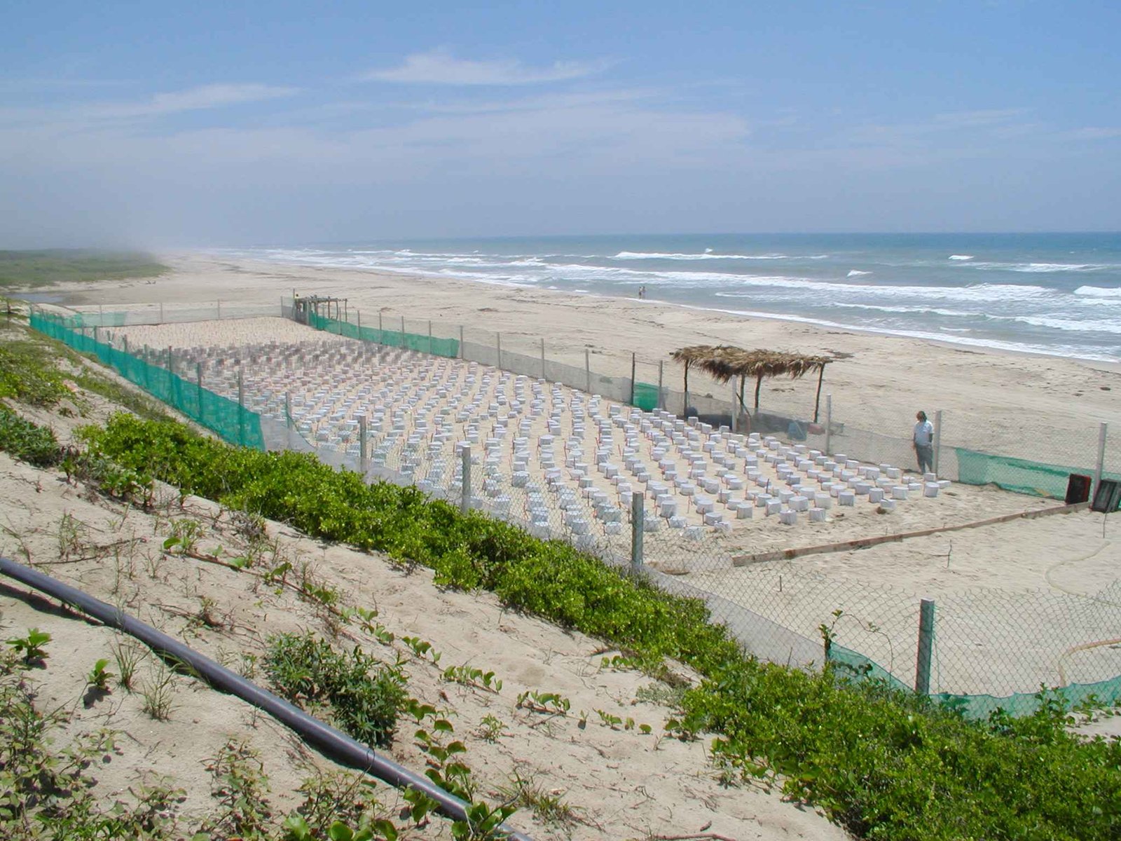 The Role of Conservation Zones (image credits: wikimedia)