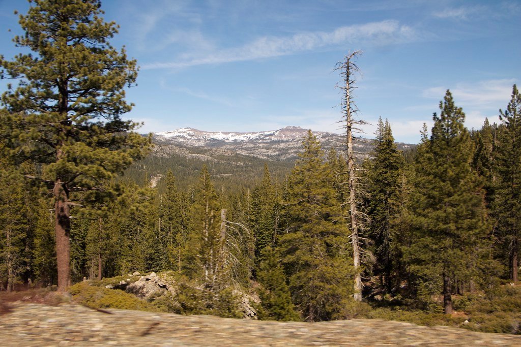From Green to Red: The Visual Impact on Rocky Mountain Forests (image credits: flickr)