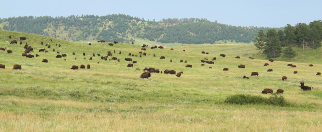 The Thunder That Shook the Plains (image credits: flickr)