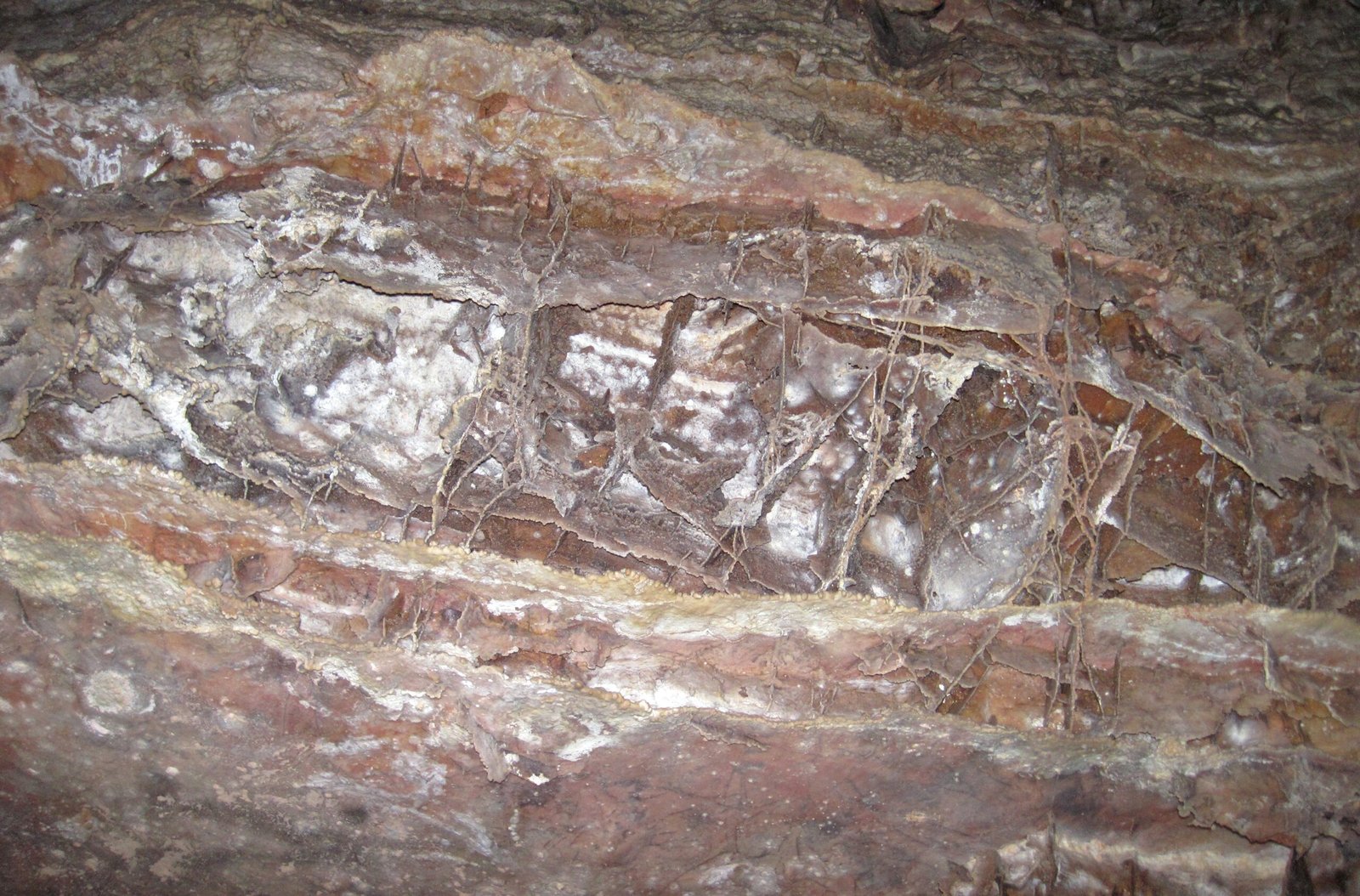 Alien Worlds Beneath Our Feet (image credits: wikimedia)