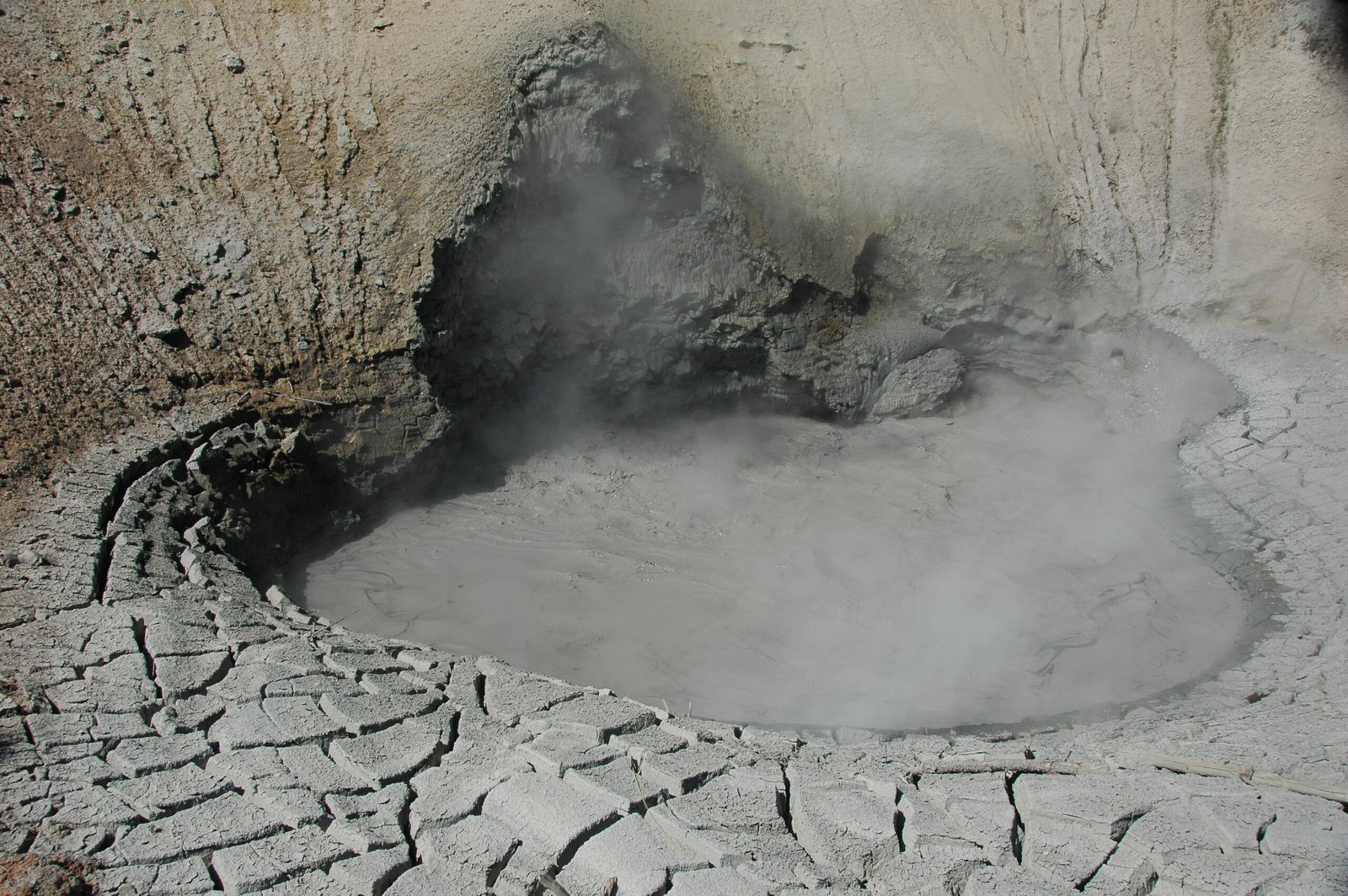 Deadly but Essential: The Role of Sulfur in Life (image credits: wikimedia)