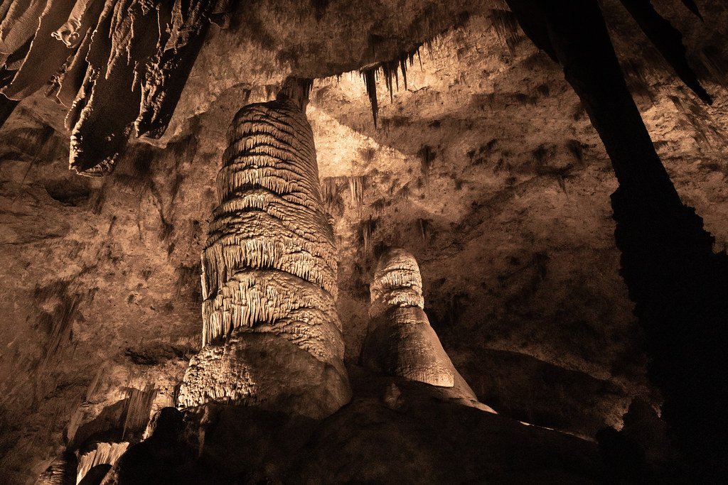 Conservation: Protecting the Unseen World (image credits: flickr)