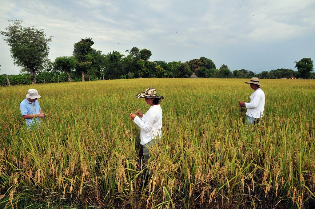 Innovative Science and New Solutions (image credits: flickr)