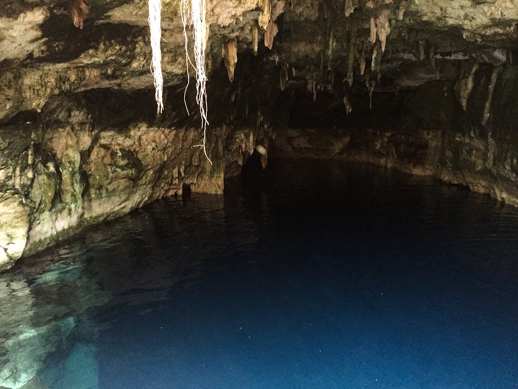 Extreme Environments: Surviving Against All Odds (image credits: flickr)