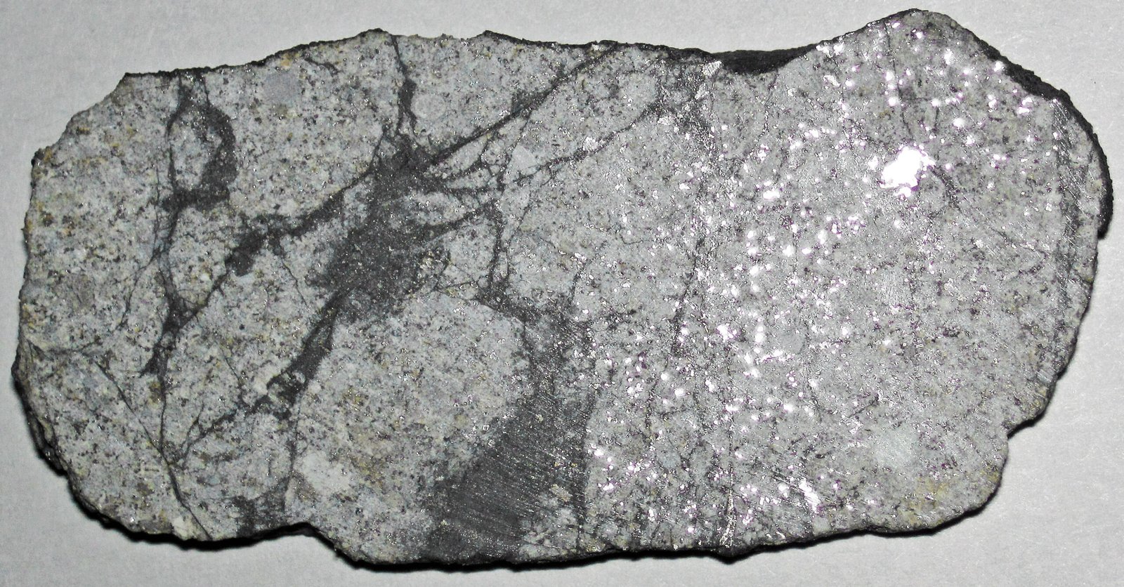 Chondrites: The Solar System’s Building Blocks (image credits: wikimedia)