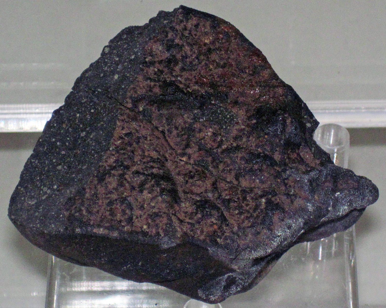 Microscopic Life? The Controversial Question (image credits: wikimedia)