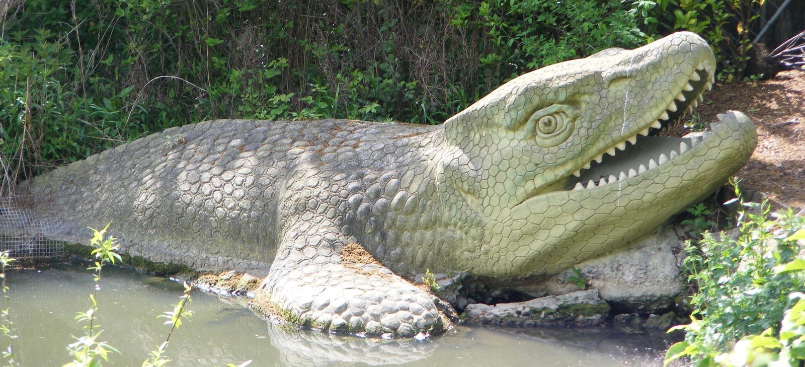 1. Mosasaurus: The Tyrant of the Western Interior Sea (image credits: wikimedia)