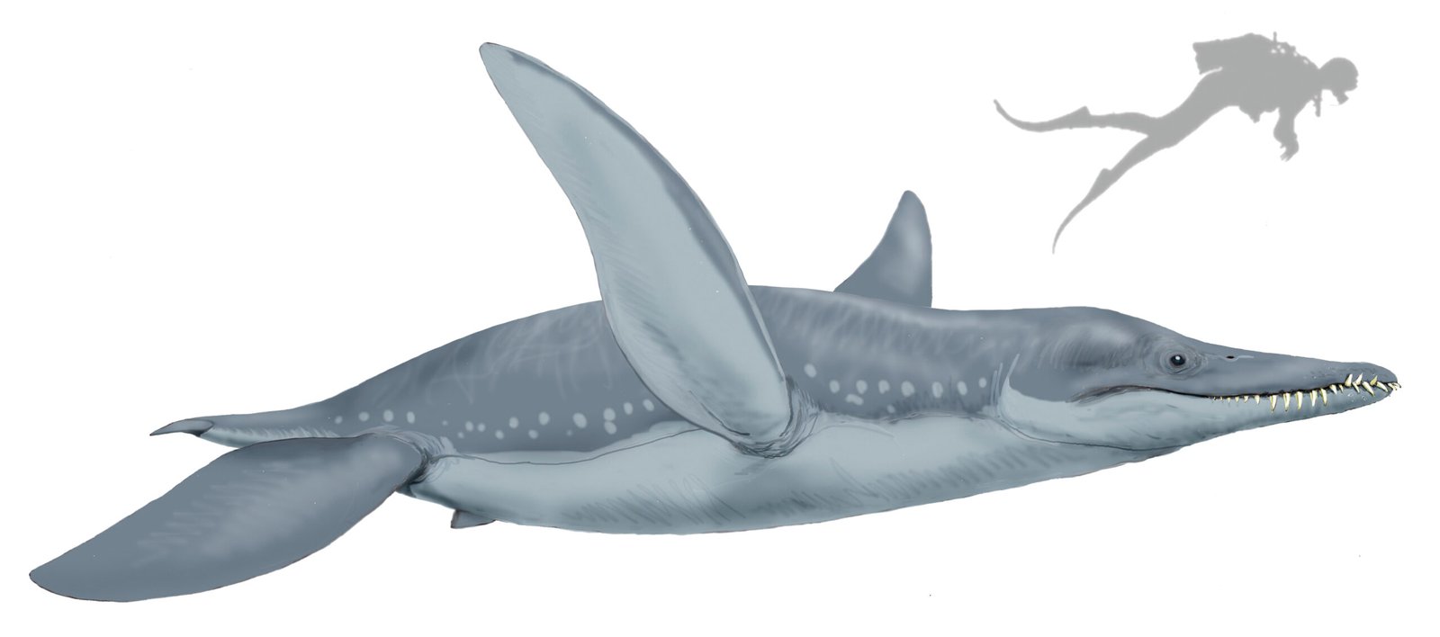 2. Pliosaurus: The Jaw That Shook the Seas (image credits: wikimedia)