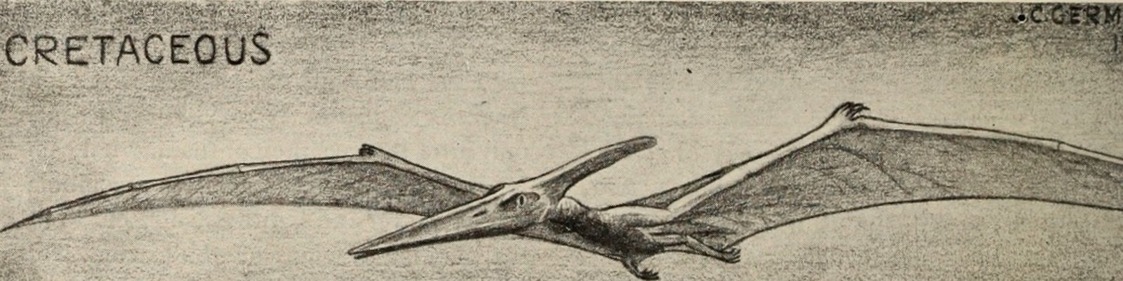 5. Pteranodon: Lords of the Ancient Skies (image credits: wikimedia)
