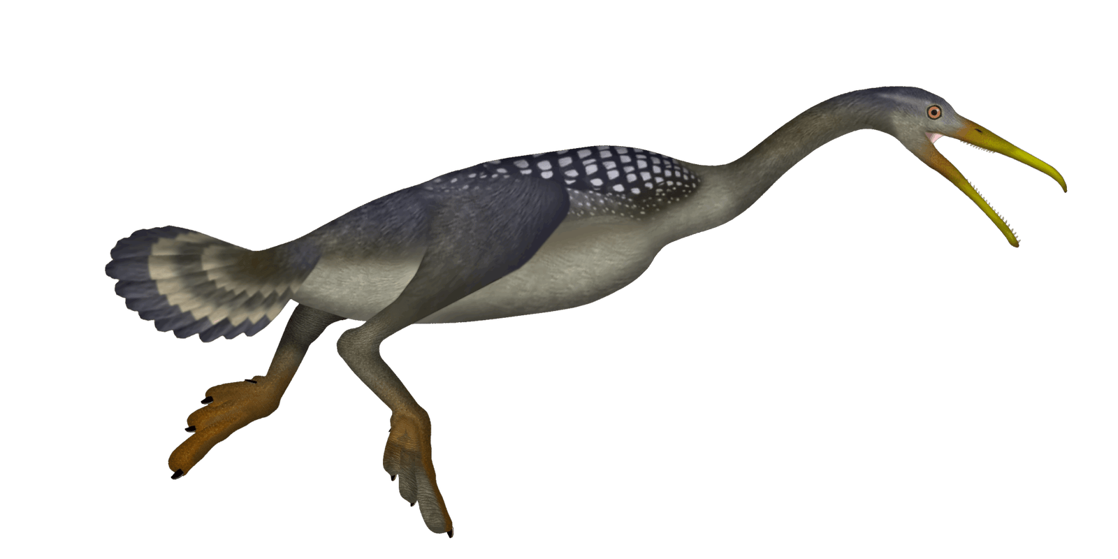 9. Hesperornis: The Ancient Diving Bird (image credits: wikimedia)