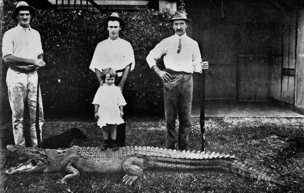 The Dark Era of Hunting and Decline (image credits: flickr)