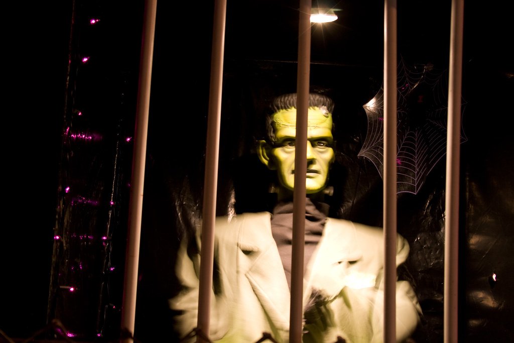 Victor Frankenstein: The Perils of Playing God (image credits: flickr)