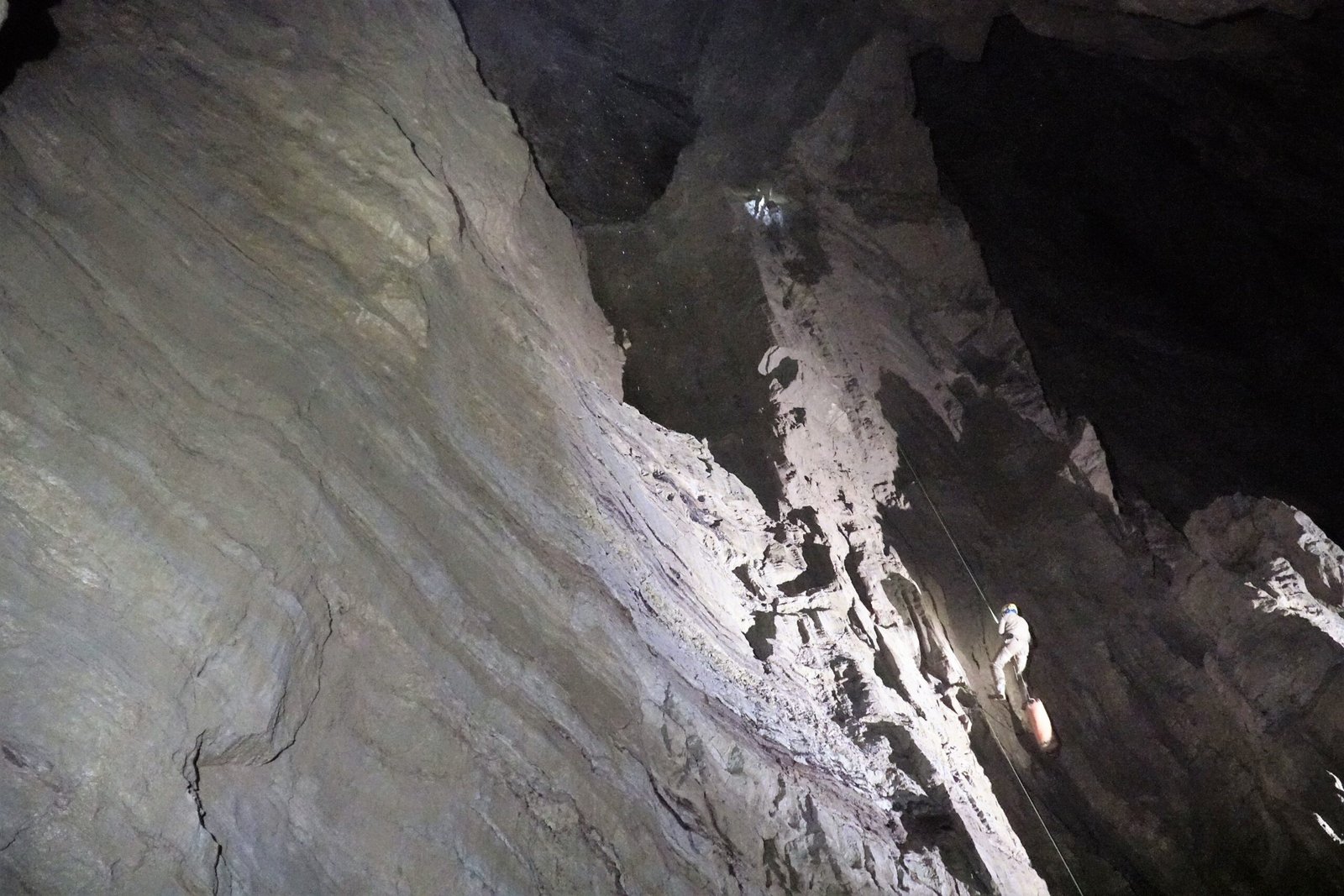 Life in the Ultimate Darkness - Nature's Most Extreme Residents (image credits: wikimedia)