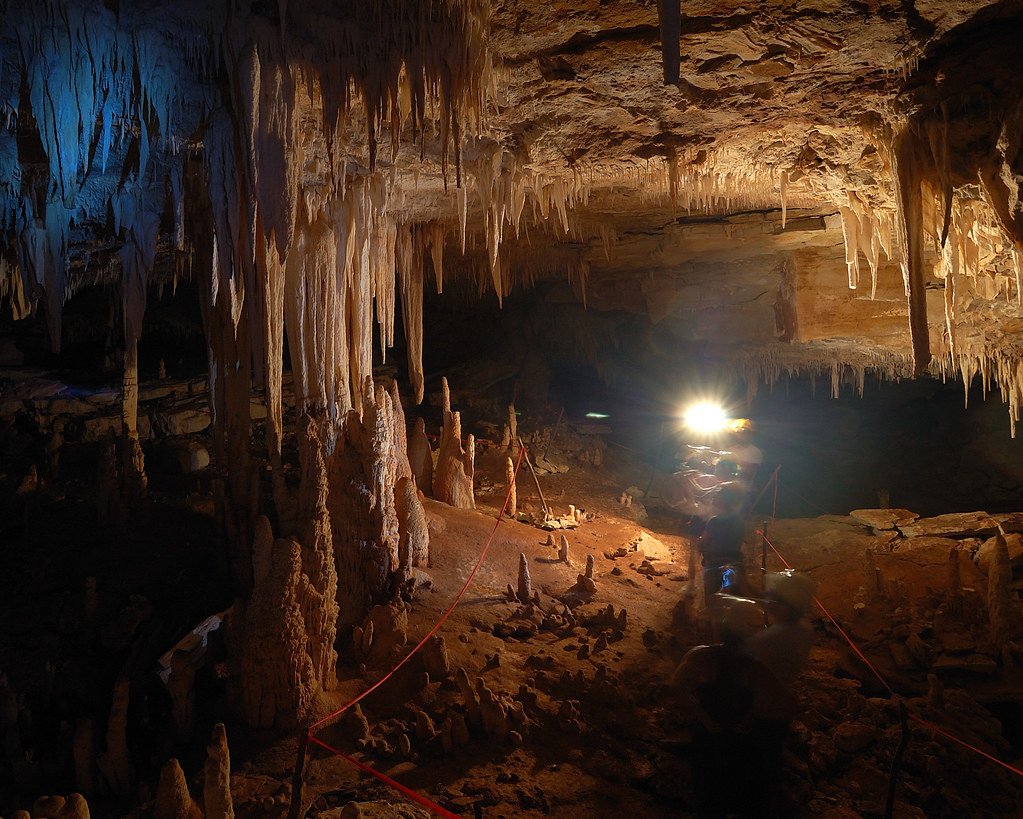 The Undiscovered Majority (image credits: flickr)