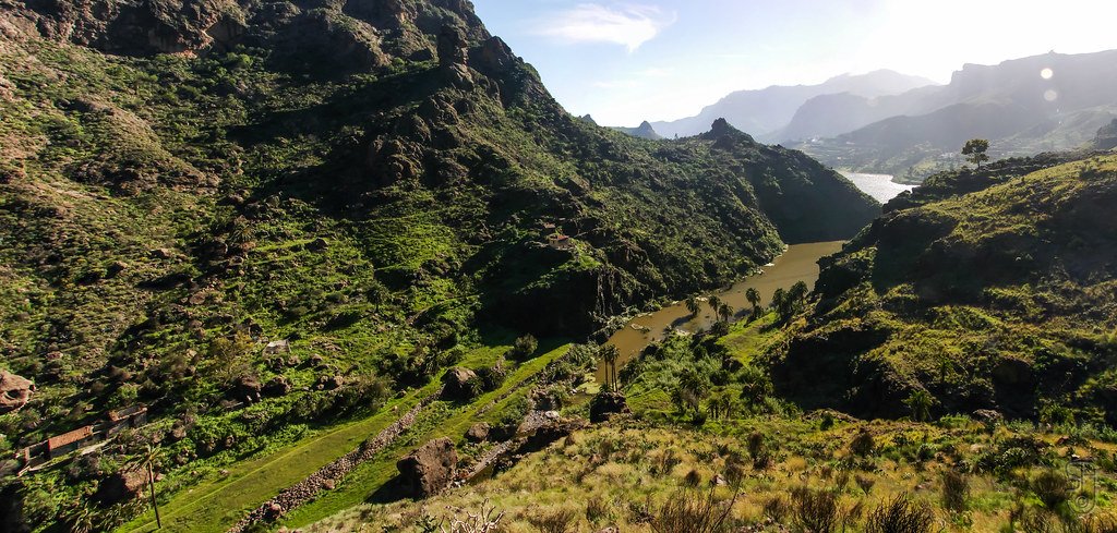 The Secret World of Mountain Endemics (image credits: flickr)