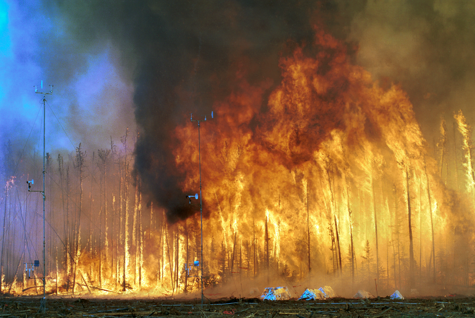 Fire Cycles: When Natural Processes Go Wrong (image credits: wikimedia)