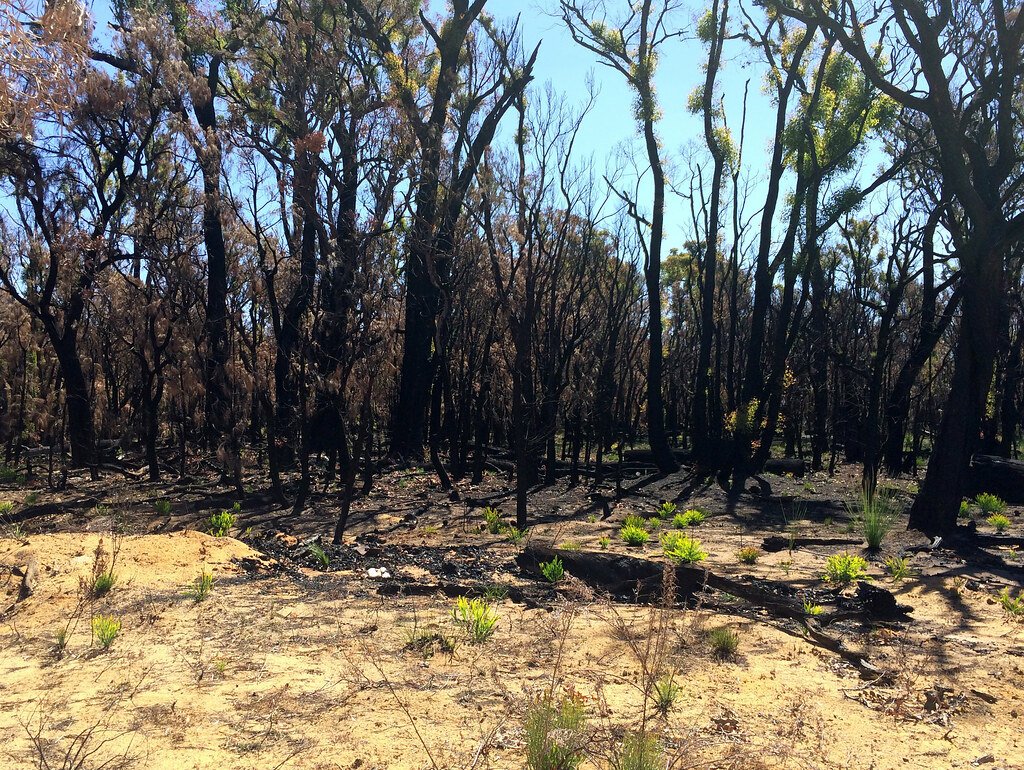 The Experimental Challenges of Studying Underground Networks (image credits: flickr)