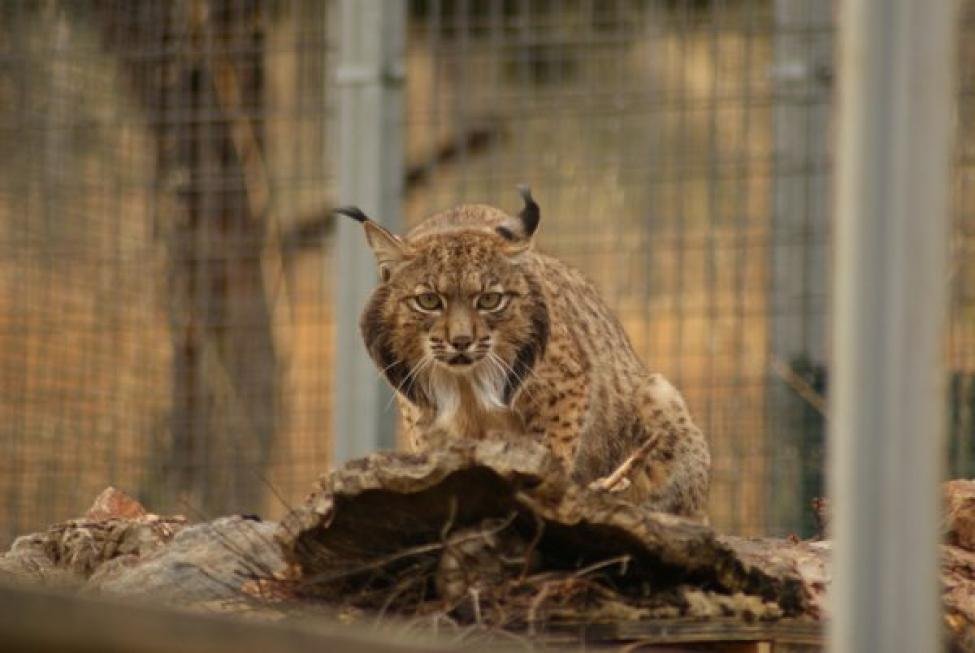 The Numbers That Made History (image credits: wikimedia)